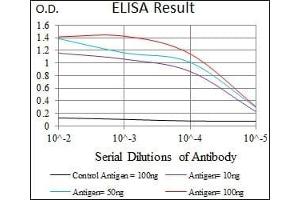 Black line: Control Antigen (100 ng), Purple line: Antigen(10 ng), Blue line: Antigen (50 ng), Red line: Antigen (100 ng),