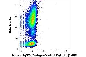 Flow cytometry surface nonspecific staining pattern of human peripheral whole blood stained using mouse IgG2a Isotype control (MOPC-173) DyLight® 488 antibody (concentration in sample 9 μg/mL). (Maus IgG2a, kappa isotype control (DyLight 488))