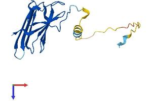 PTGES3 Protein (AA 1-160) (His tag)