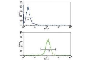 Flow Cytometry (FACS) image for anti-ATP-Binding Cassette, Sub-Family G (WHITE), Member 1 (ABCG1) (AA 359-387) antibody (ABIN3030059)