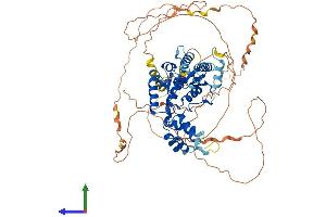 AlphaFold protein structure predicition of Human Recombinant FIGNL2 Protein, UniprotID A6NMB9 (Fidgetin-Like 2 Protein (FIGNL2) (AA 1-653) (His tag))