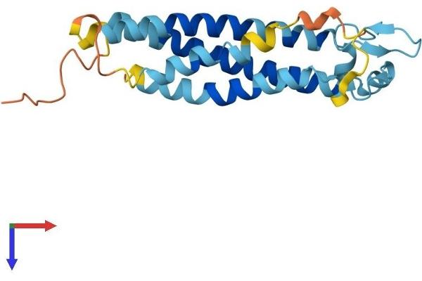 TM4SF4 Protein (AA 1-202) (His tag)