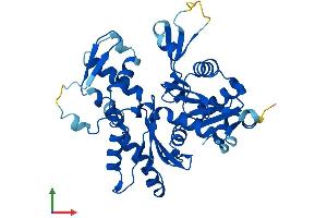 Protein Structure (PS) image for Actin-Related Protein T1 (ACTRT1) (AA 1-376) protein (His tag) (ABIN7552004)