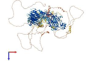 Synaptojanin 2 Protein (SYNJ2) (AA 1-1496) (His tag)