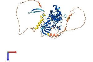 PHF19 Protein (AA 1-578) (His tag)