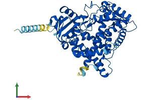 AlphaFold protein structure predicition of Mouse Recombinant Cyp2c37 Protein, UniprotID P56654