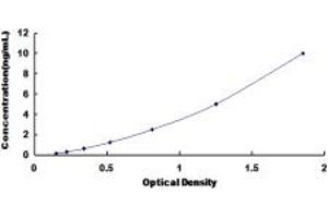 LEFTY1 ELISA Kit