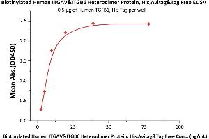 Immobilized Human TGFB1, His Tag (ABIN4949126,ABIN4949127) at 5 μg/mL (100 μL/well) can bind Biotinylated Human ITGAV&ITGB6 Heterodimer Protein, His,Avitag&Tag Free (ABIN5674599,ABIN6253672) with a linear range of 2-10 ng/mL (QC tested). (ITGAV/ITGB6 Protein (AA 31-992) (His tag,AVI tag,Biotin))