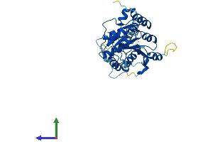 Protein Structure (PS) image for beta-1,3-N-Acetylgalactosaminyltransferase 1 (B3GALNT1) (AA 1-331) protein (His tag) (ABIN7560186)