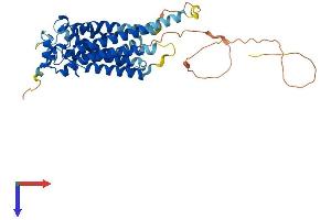 S1PR5 Protein (AA 1-400) (His tag)