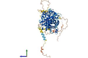 Protein Structure (PS) image for Myotubularin Related Protein 11 (MTMR11) (AA 1-700) protein (His tag) (ABIN7557348)