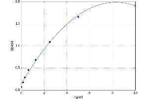 A typical standard curve (UBE2C ELISA Kit)