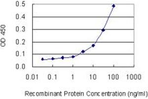 Detection limit for recombinant GST tagged SLC4A8 is 1 ng/ml as a capture antibody. (SLC4A8 Antikörper  (AA 187-286))