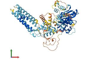 Protein Structure (PS) image for Diacylglycerol Lipase, beta (DAGLB) (AA 1-669) protein (His tag) (ABIN7560030)