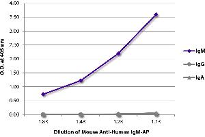 ELISA plate was coated with purified human IgM, IgG, and IgA. (Maus anti-Human IgM (Heavy Chain) Antikörper (Alkaline Phosphatase (AP)))