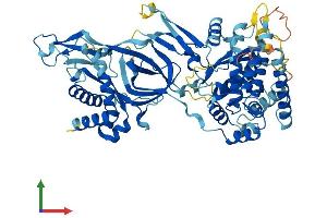 AlphaFold protein structure predicition of Mouse Recombinant Mcmdc2 Protein, UniprotID E9Q956