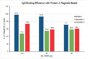 Trueblot Protein A magnetic beads magnetic beads have approximately 1. (TrueBlot® Protein A Magnetic Beads IP/Co-IP Kit)