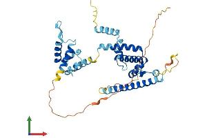 AlphaFold protein structure predicition of Human Recombinant CCDC97 Protein, UniprotID Q96F63 (CCDC97 Protein (AA 1-343) (His tag))