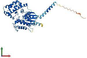 Protein Structure (PS) image for Guanine Nucleotide Binding Protein (G Protein), alpha 13 (GNA13) (AA 1-377) protein (His tag) (ABIN7563026)