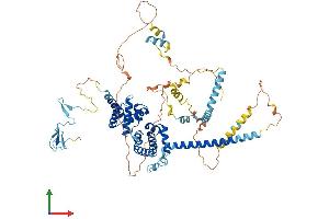 Protein Structure (PS) image for BRF1, RNA polymerase III transcription initiation factor subunit (BRF1) (AA 1-677) protein (His tag) (ABIN7544432)