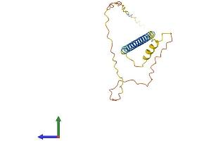 AlphaFold protein structure predicition of Human Recombinant C18orf15 Protein, UniprotID Q96N68