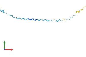 AlphaFold protein structure predicition of Human Recombinant SPRR2G Protein, UniprotID Q9BYE4