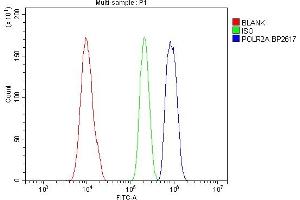 Flow Cytometry analysis of HL-60 cells using anti-POLR2A antibody (ABIN7599598).