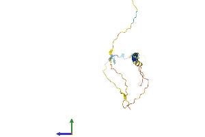 Protein Structure (PS) image for Tumor Necrosis Factor Receptor Superfamily, Member 13C (TNFRSF13C) (AA 1-175) protein (His tag) (ABIN7561120)
