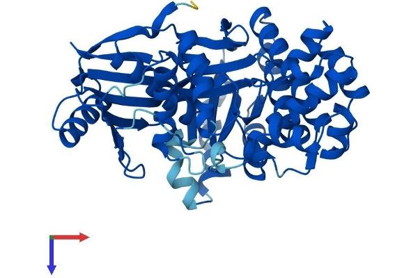 GALK2 Protein (AA 1-458) (His tag)