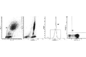 Image no. 1 for anti-Sialophorin (SPN) antibody (PE) (ABIN1106376) (CD43 Antikörper  (PE))