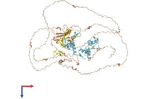 PRDM4 Protein (AA 1-803) (His tag)