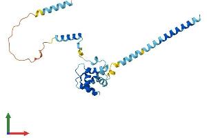 AlphaFold protein structure predicition of Human Recombinant EFHD1 Protein, UniprotID Q9BUP0