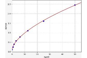 P4HA2 ELISA Kit