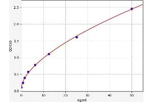 Typical standard curve (P4HA2 ELISA Kit)