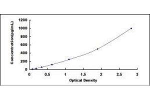ELISA image for Leukemia Inhibitory Factor (LIF) ELISA Kit (ABIN416358)