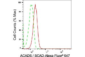 Flow cytometric analysis of Acyl-CoA dehydrogenase short chain expression in C2C12 cells using Acyl-CoA dehydrogenase short chain antibody (ABIN7797493), 1:2,000). (Rekombinanter Acyl Co-A Dehydrogenase (AIDB) (chain short) Antikörper)