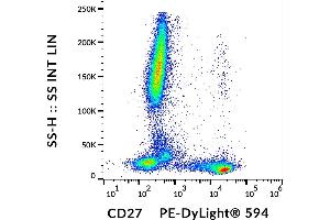 Flow cytometry analysis (surface staining) of human peripheral blood cells with anti-human CD27 (LT27) PE-DyLight® 594. (CD27 Antikörper  (PE-DyLight 594))