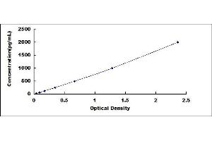 Typical standard curve
