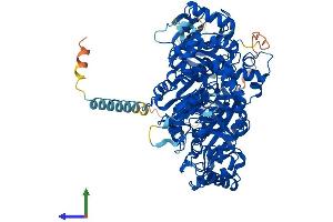 AlphaFold protein structure predicition of Human Recombinant NDST1 Protein, UniprotID P52848 (NDST1 Protein (AA 1-882) (His tag))