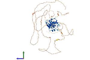 Protein Structure (PS) image for Forkhead Box K2 (FOXK2) (AA 1-651) protein (His tag) (ABIN7557165)