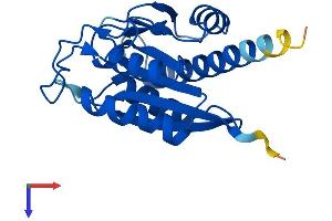 PGPEP1 Protein (AA 1-209) (His tag)