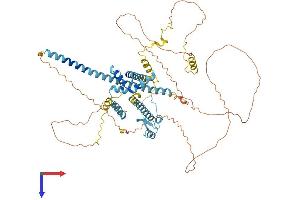SFRS16 Protein (AA 1-668) (His tag)