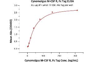 Immobilized Human M-CSF, His Tag (ABIN5674639,ABIN6253718) at 5 μg/mL (100 μL/well) can bind Cynomolgus M-CSF R, Fc Tag (ABIN5526646,ABIN5526647) with a linear range of 1-39 ng/mL (Routinely tested).