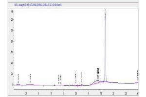 Image no. 1 for Chemokine (C-X-C Motif) Receptor 6 (CXCR6) peptide (Ovalbumin) (ABIN5666119) (Chemokine (C-X-C Motif) Receptor 6 (CXCR6) peptide (Ovalbumin))