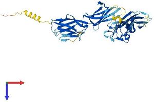 BTNL2 Protein (AA 1-454) (His tag)