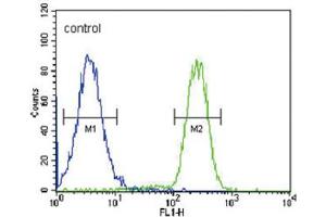 Flow Cytometry (FACS) image for anti-Hydroxysteroid (17-Beta) Dehydrogenase 2 (HSD17B2) antibody (ABIN3002244)