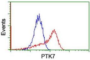 HEK293T cells transfected with either RC223416 overexpress plasmid (Red) or empty vector control plasmid (Blue) were immunostained by anti-PTK7 antibody (ABIN2455287), and then analyzed by flow cytometry. (PTK7 Antikörper)