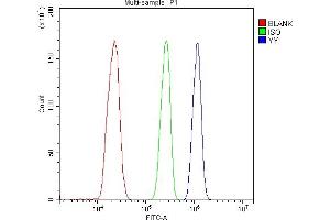 Flow Cytometry analysis of THP-1 cells using anti-YY1 antibody (ABIN3044562).