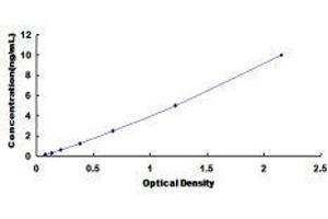 Monoglyceride Lipase (MGLL) ELISA Kit