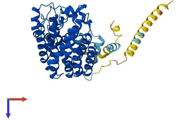 FDFT1 Protein (AA 1-417) (His tag)